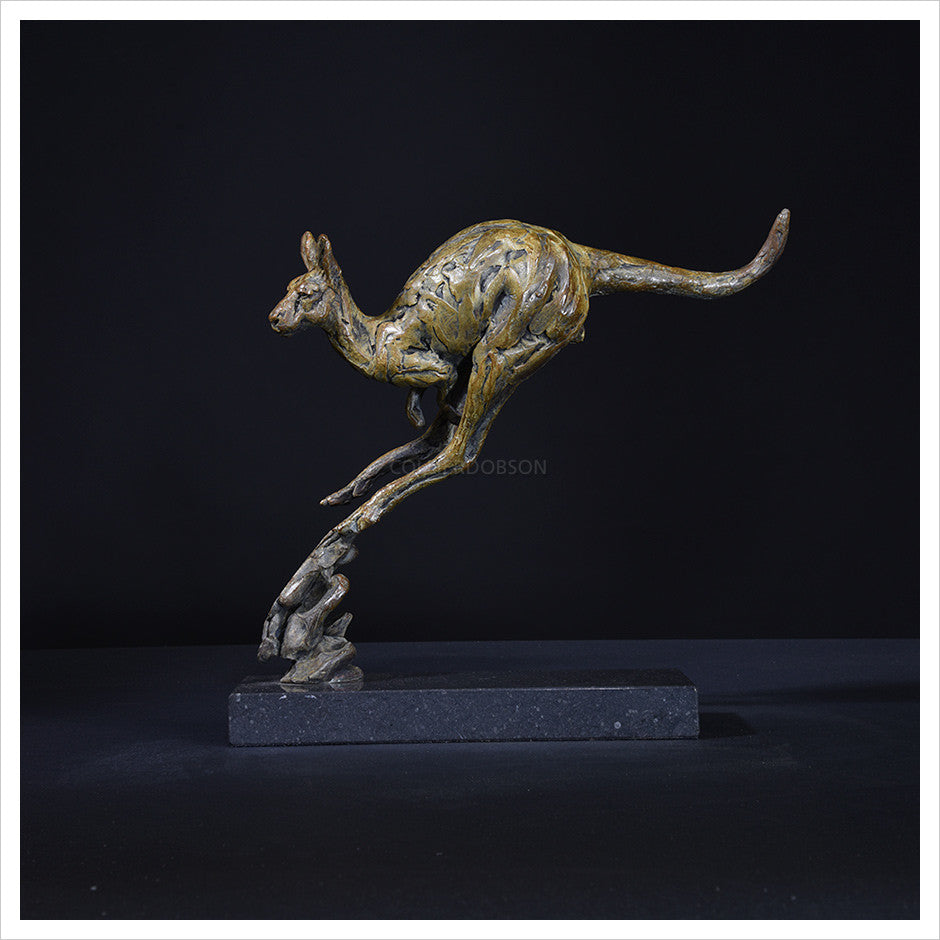 Single Kangaroo by Hamish Mackie