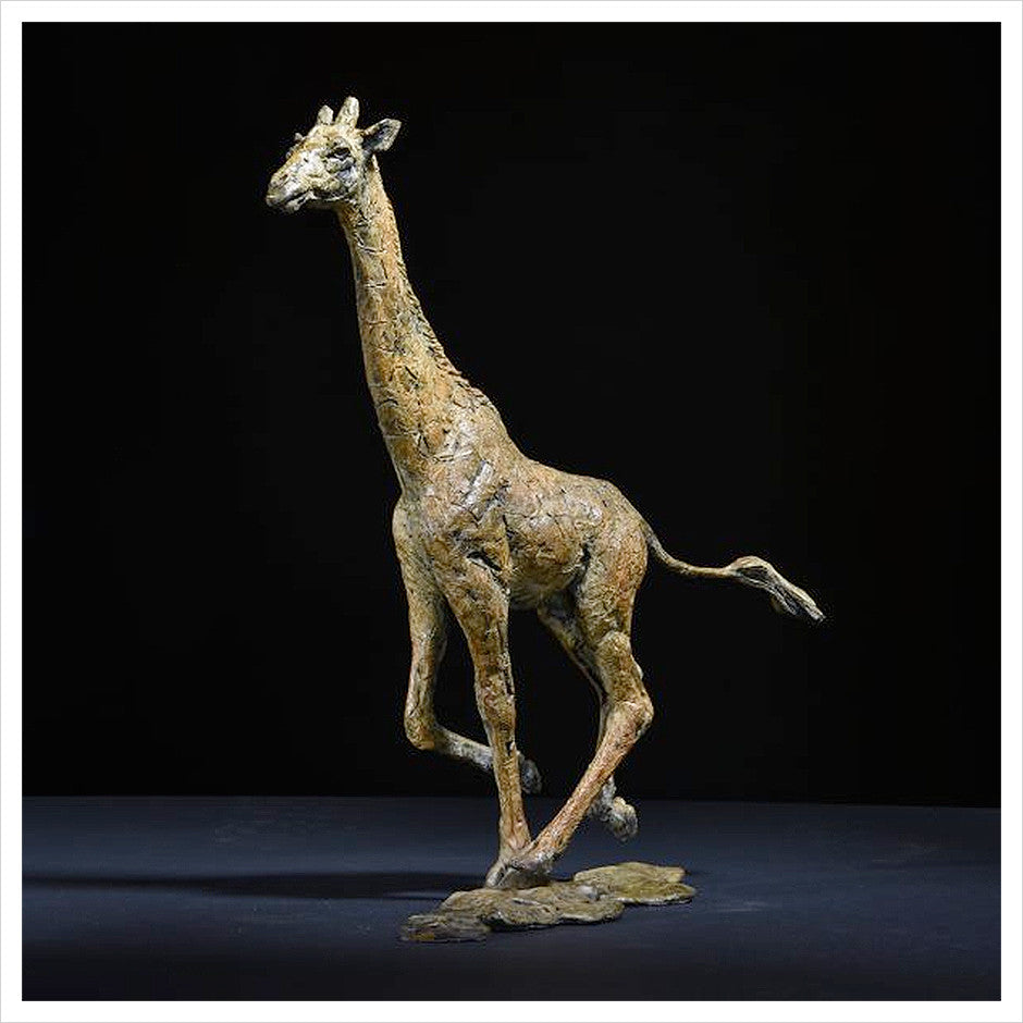 Giraffe Female by Hamish Mackie