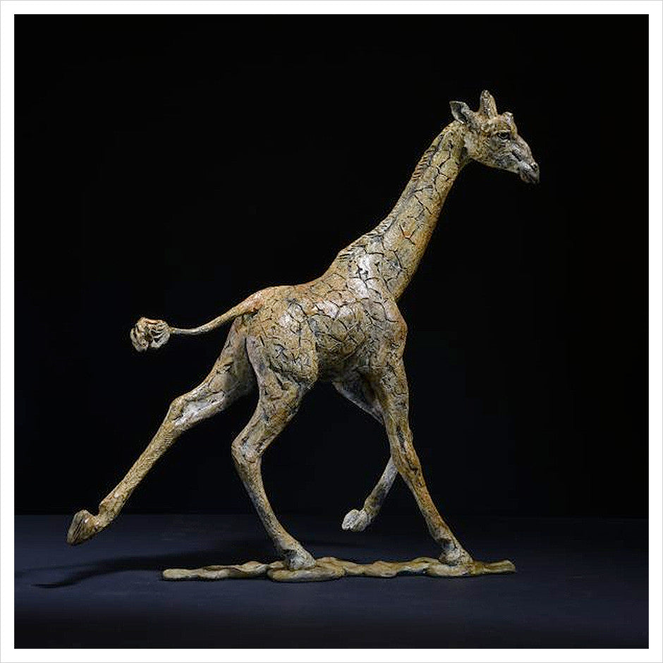 Giraffe Male by Hamish Mackie