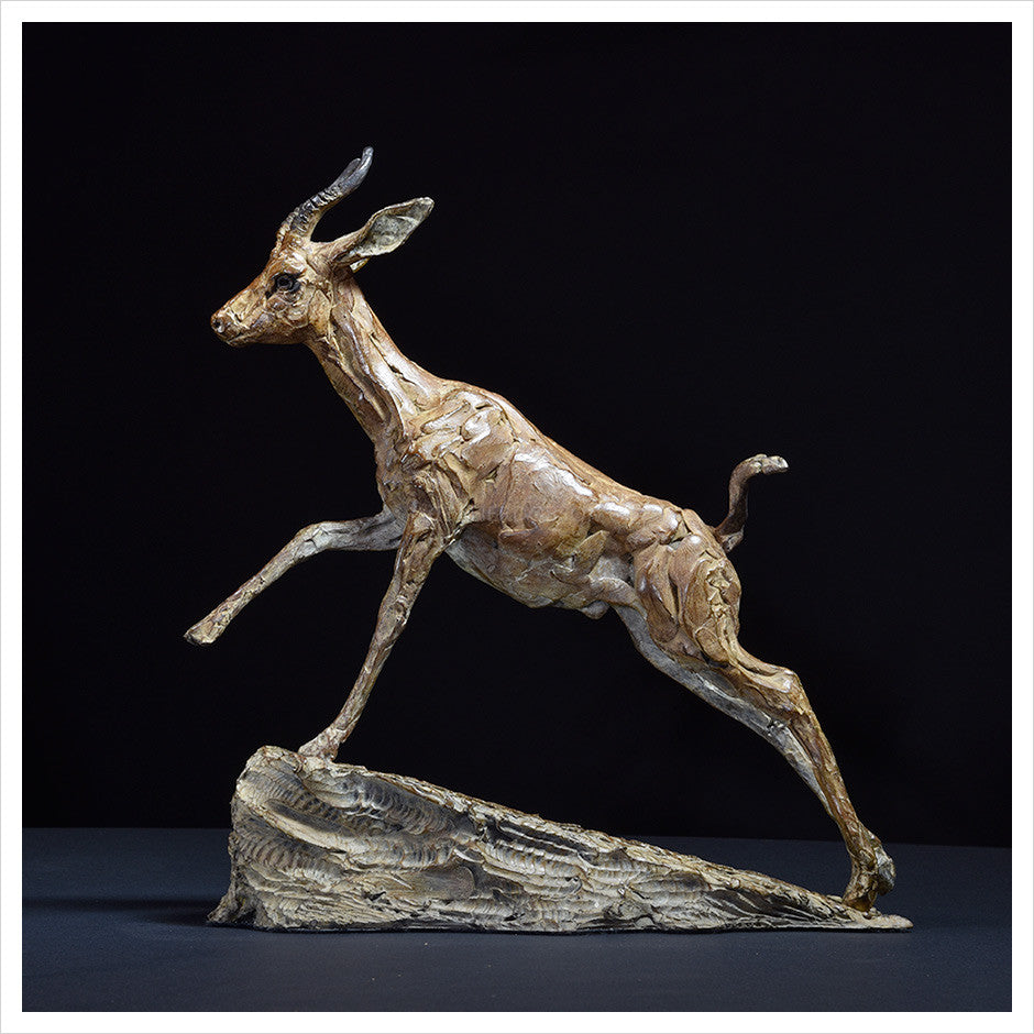 Arabian Gazelle II by Hamish Mackie