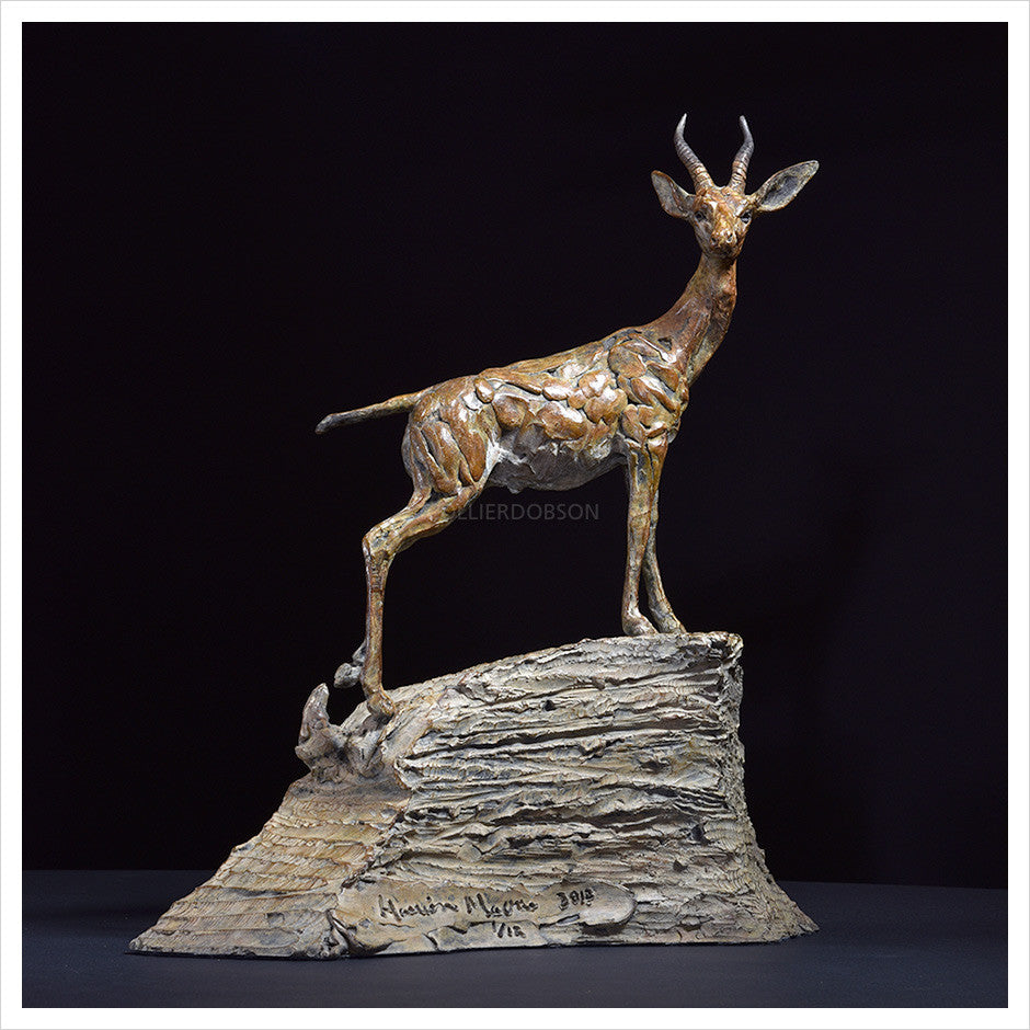Arabian Gazelle III by Hamish Mackie