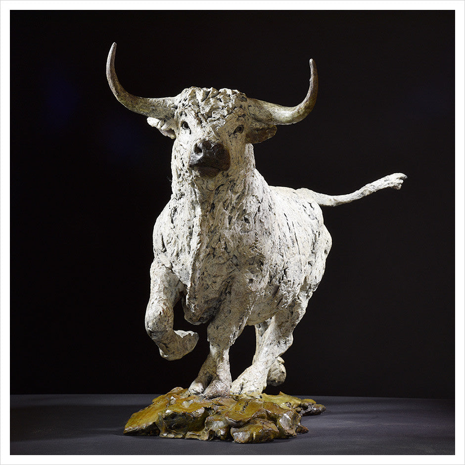 White Park Bull by Hamish Mackie