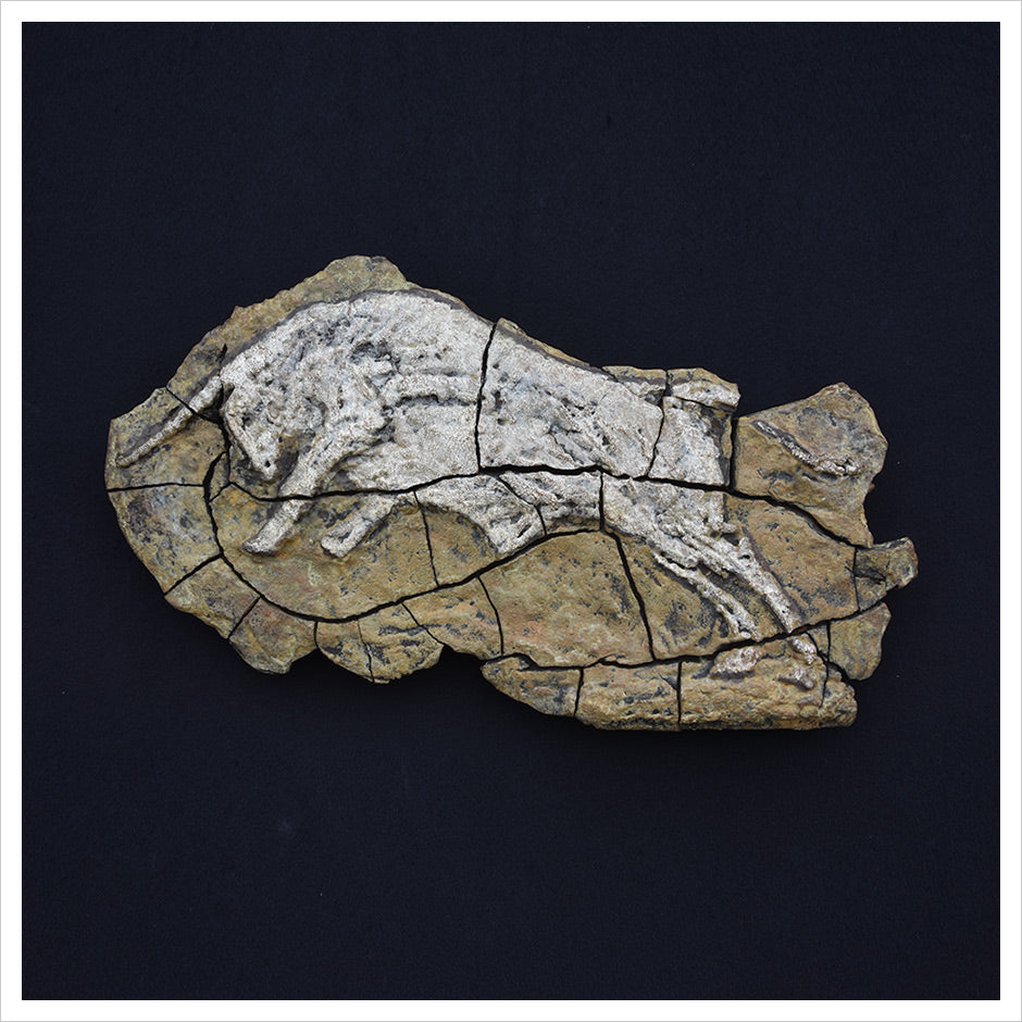 Bull Relief by Hamish Mackie