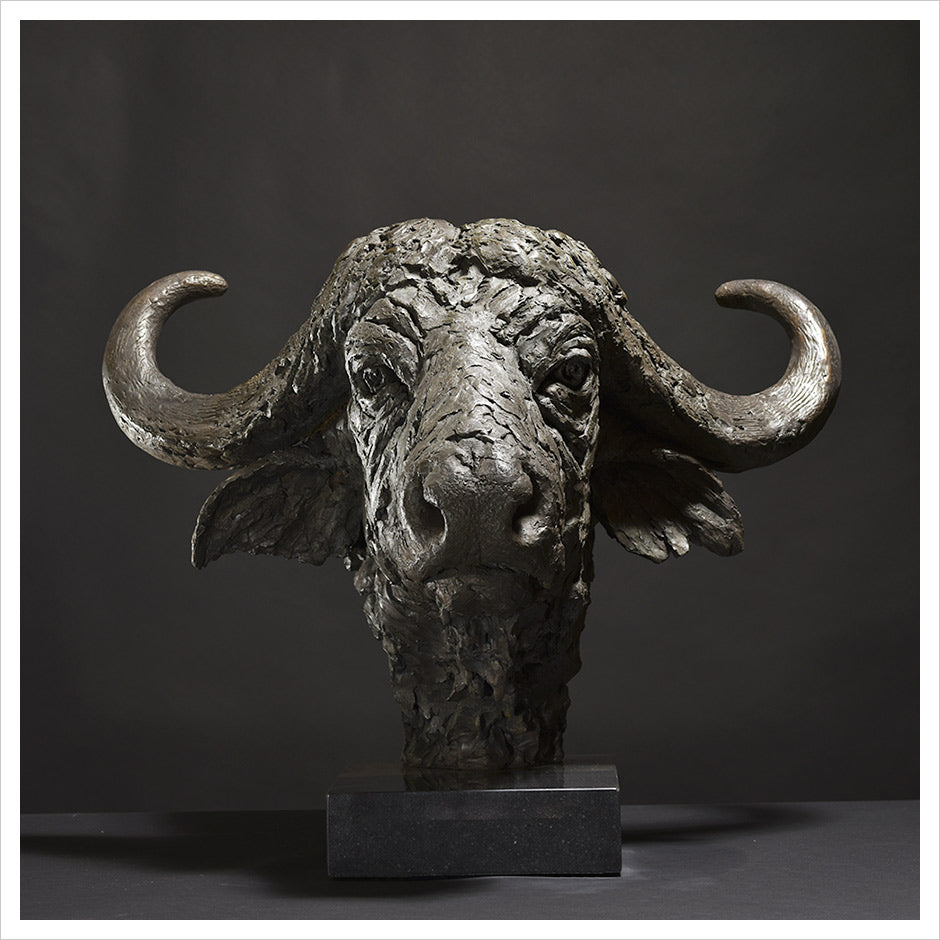 Cape Buffalo Head by Hamish Mackie