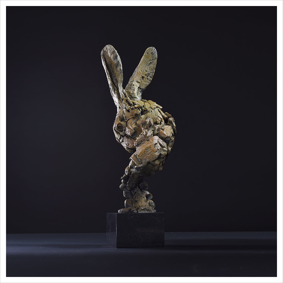 Hare Head 2018 by Hamish Mackie
