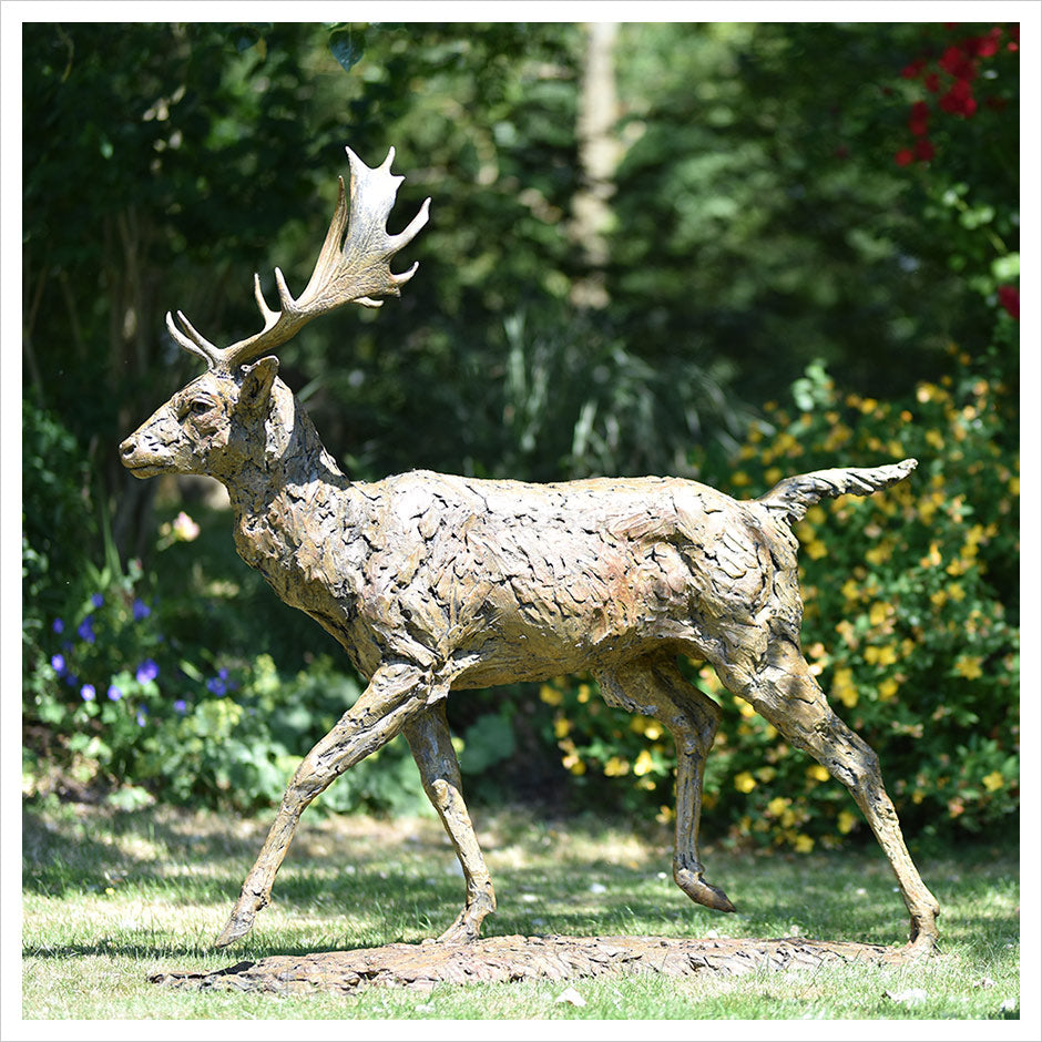Fallow Buck Running by Hamish Mackie