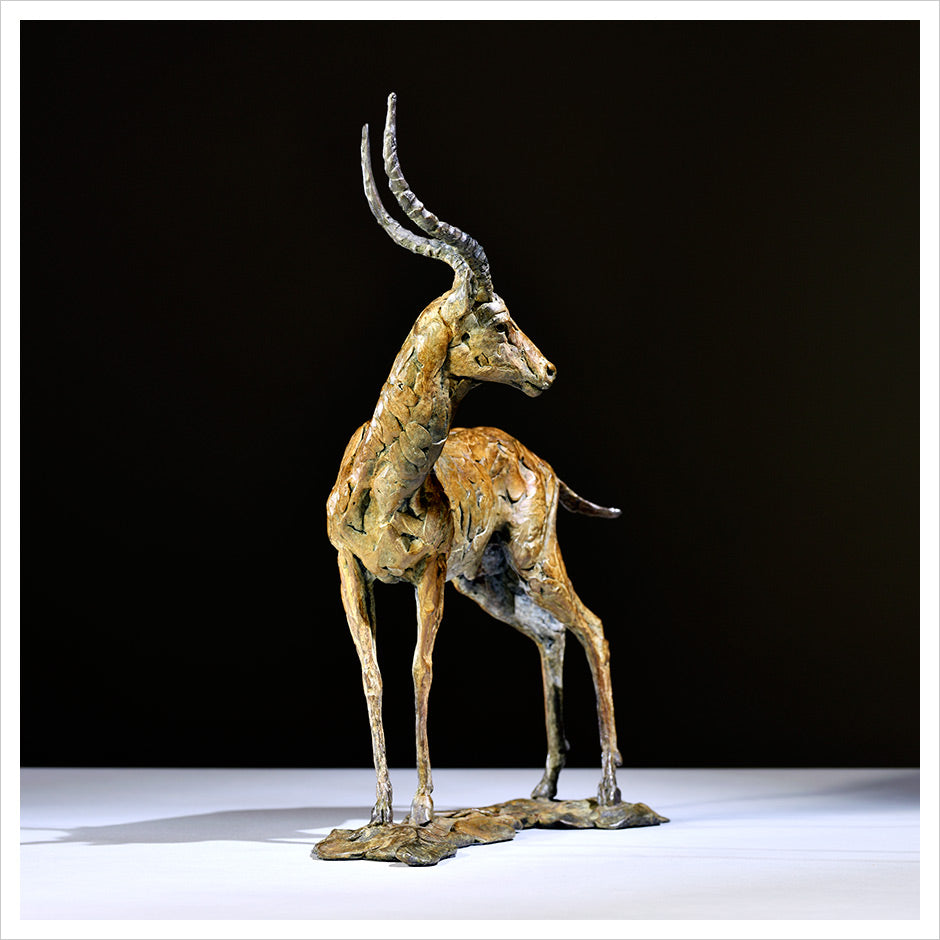 Impala by Hamish Mackie