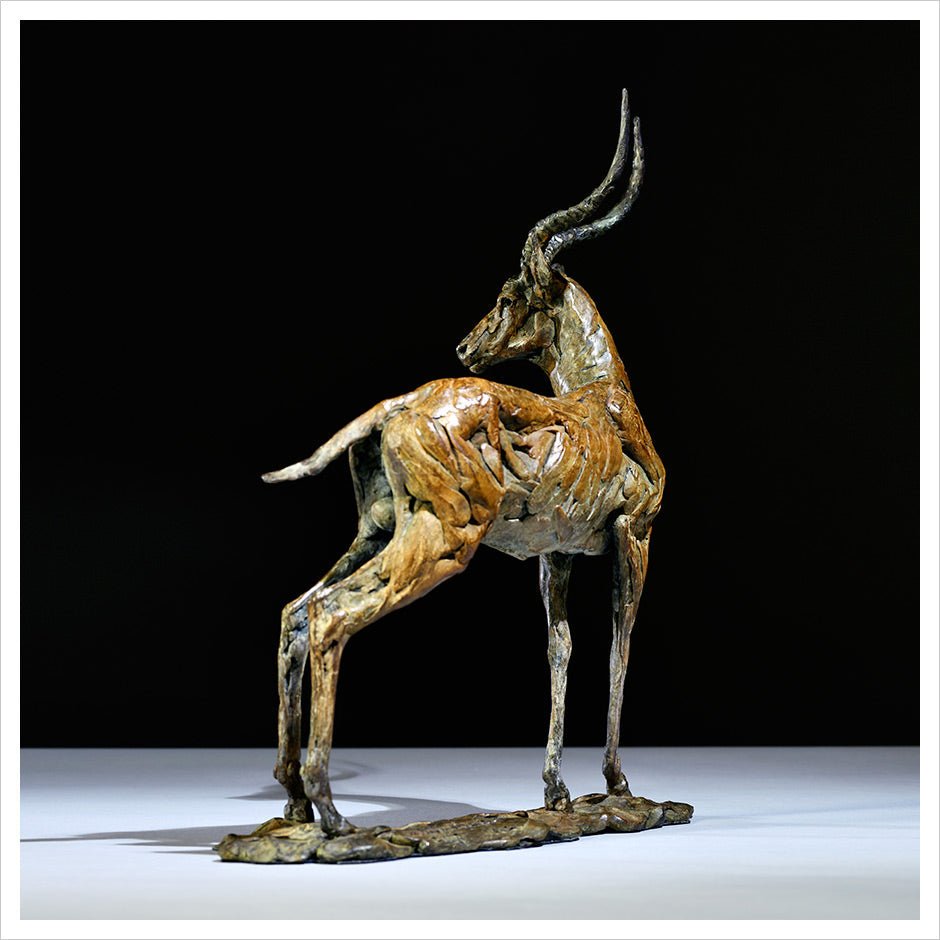 Impala by Hamish Mackie