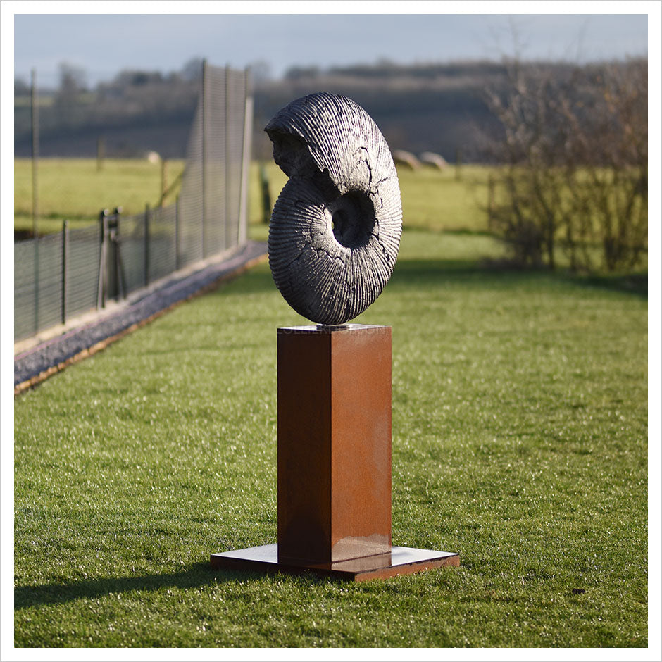 Ammonite Jurassic Cracked by Hamish Mackie