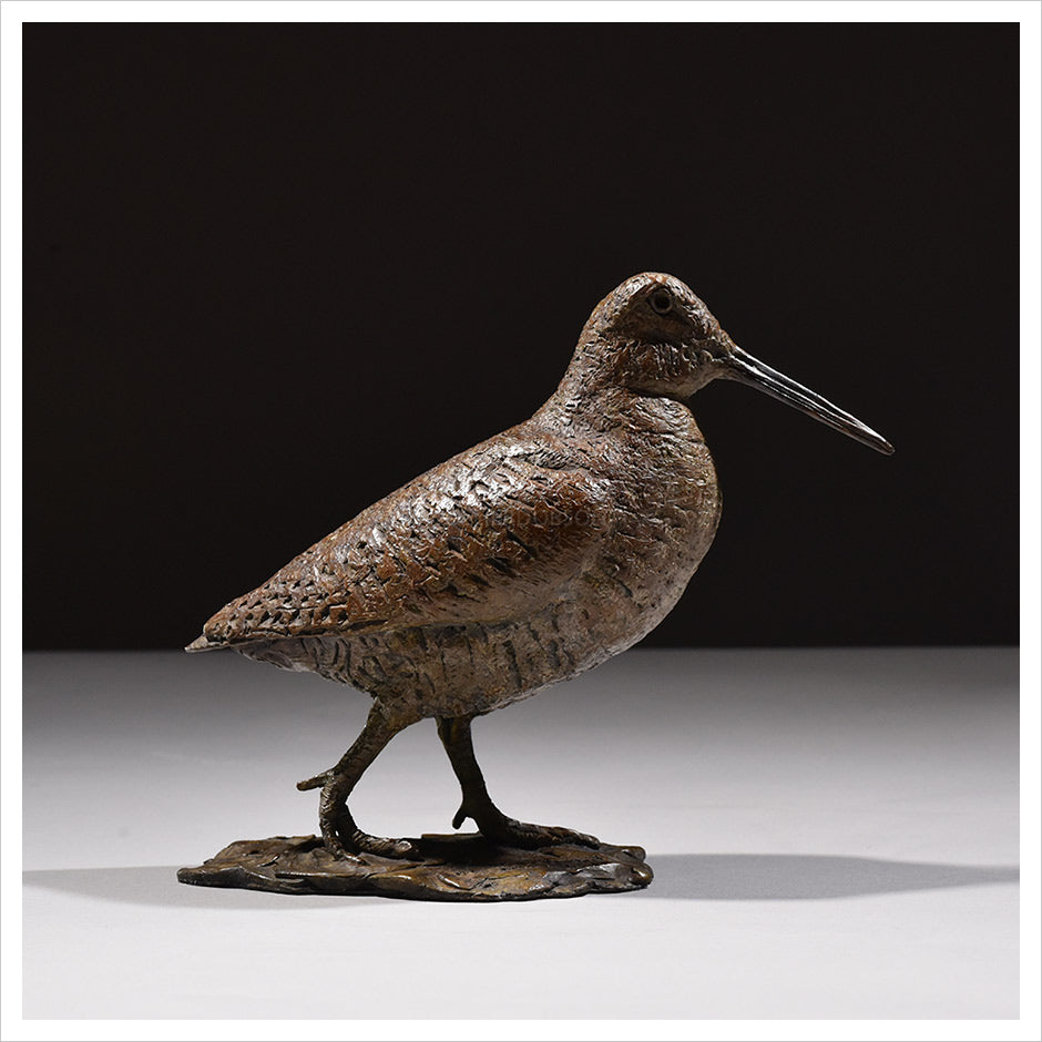 Woodcock Walking by Hamish Mackie