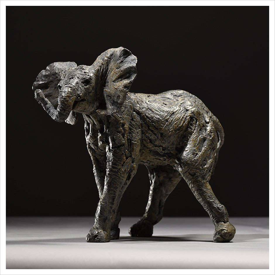 Elephant Calf Bashful by Hamish Mackie