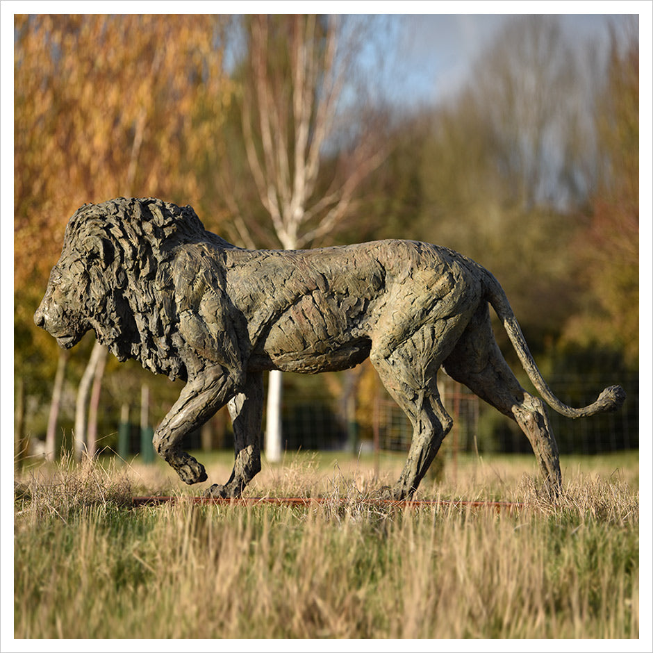 Lion Life Size by Hamish Mackie