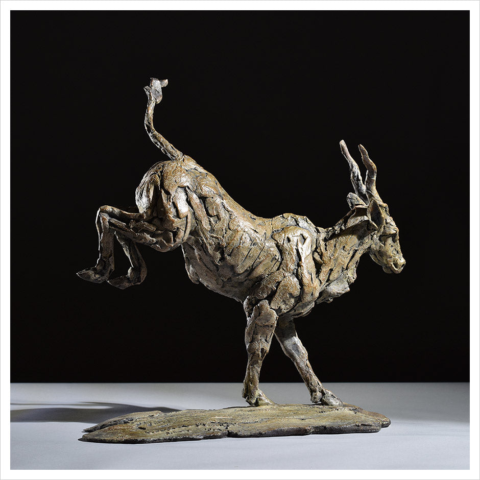 Eland by Hamsih Mackie