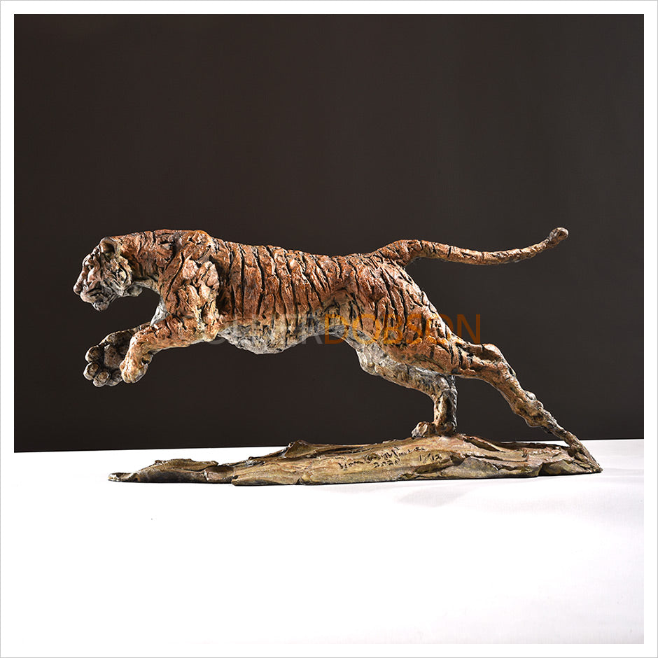 Tiger by Hamish Mackie