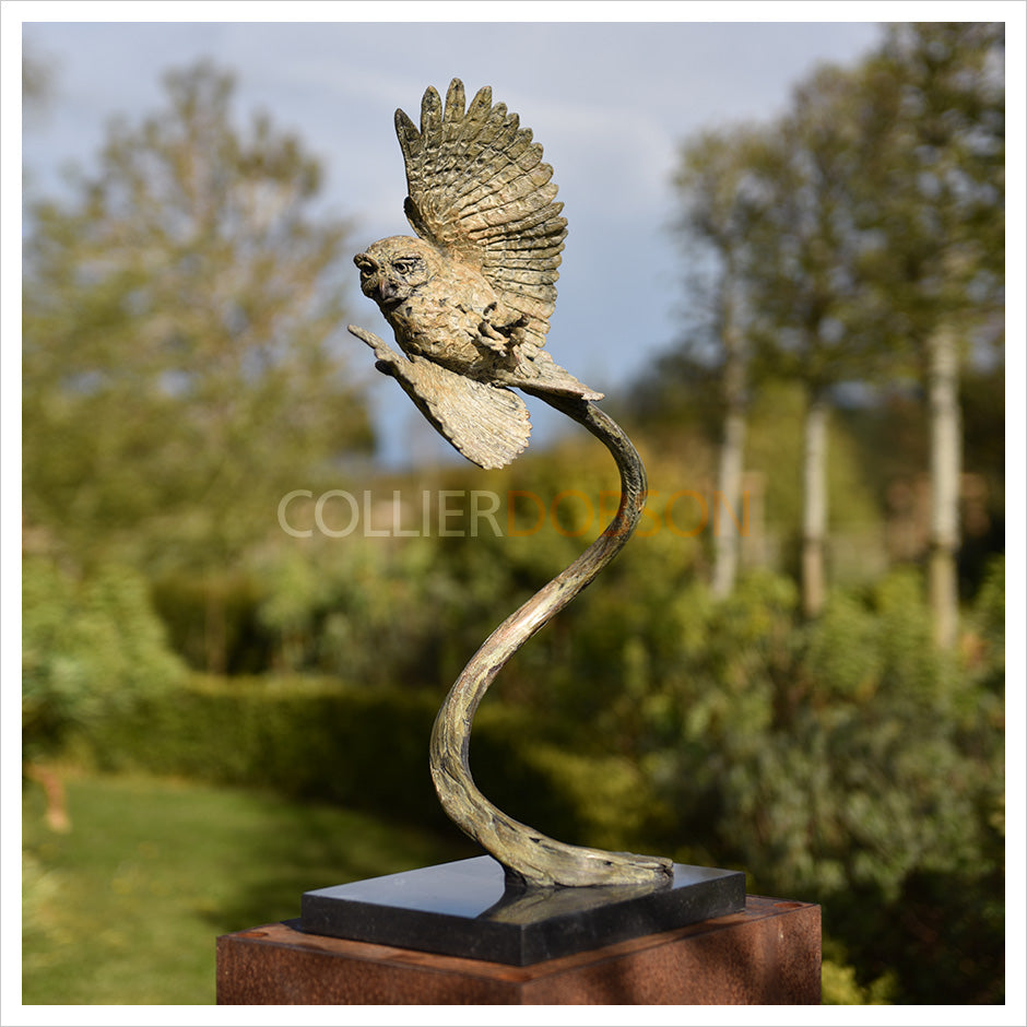 Little Owl II by Hamish Mackie