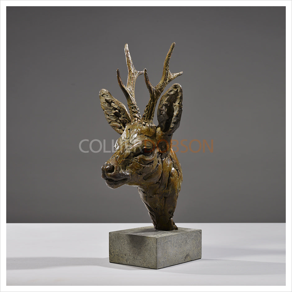 Roe Buck Head by Hamish Mackie