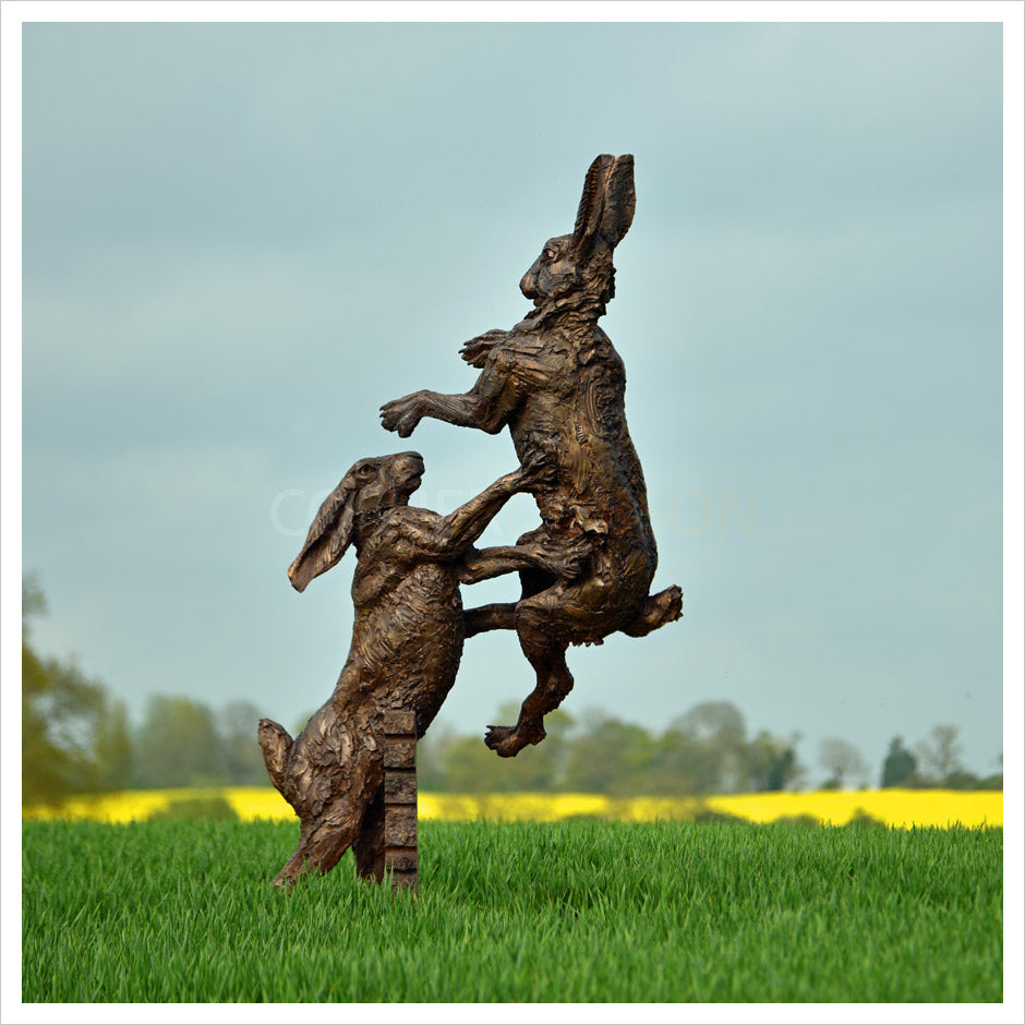 Hares Monumental by Hamish Mackie
