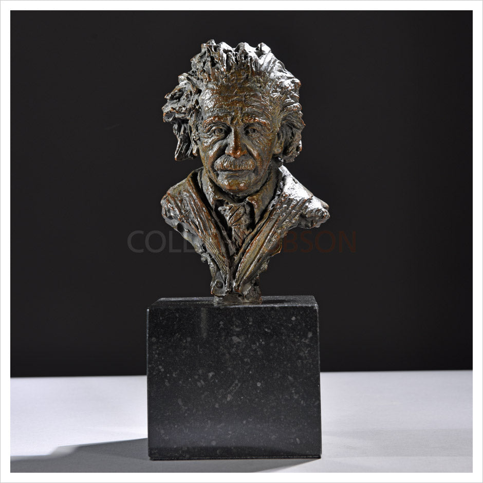 Albert Einstein - Scaled Down by Hamish Mackie