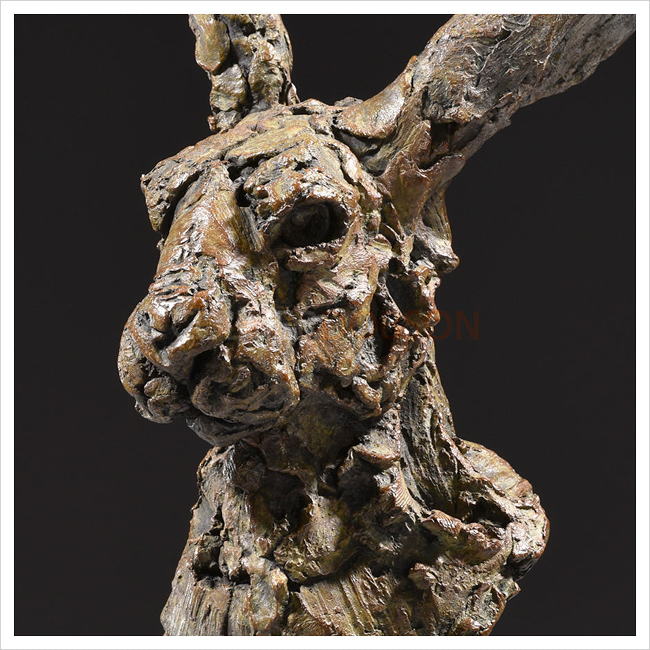 Hare Head 2022 by Hamish Mackie