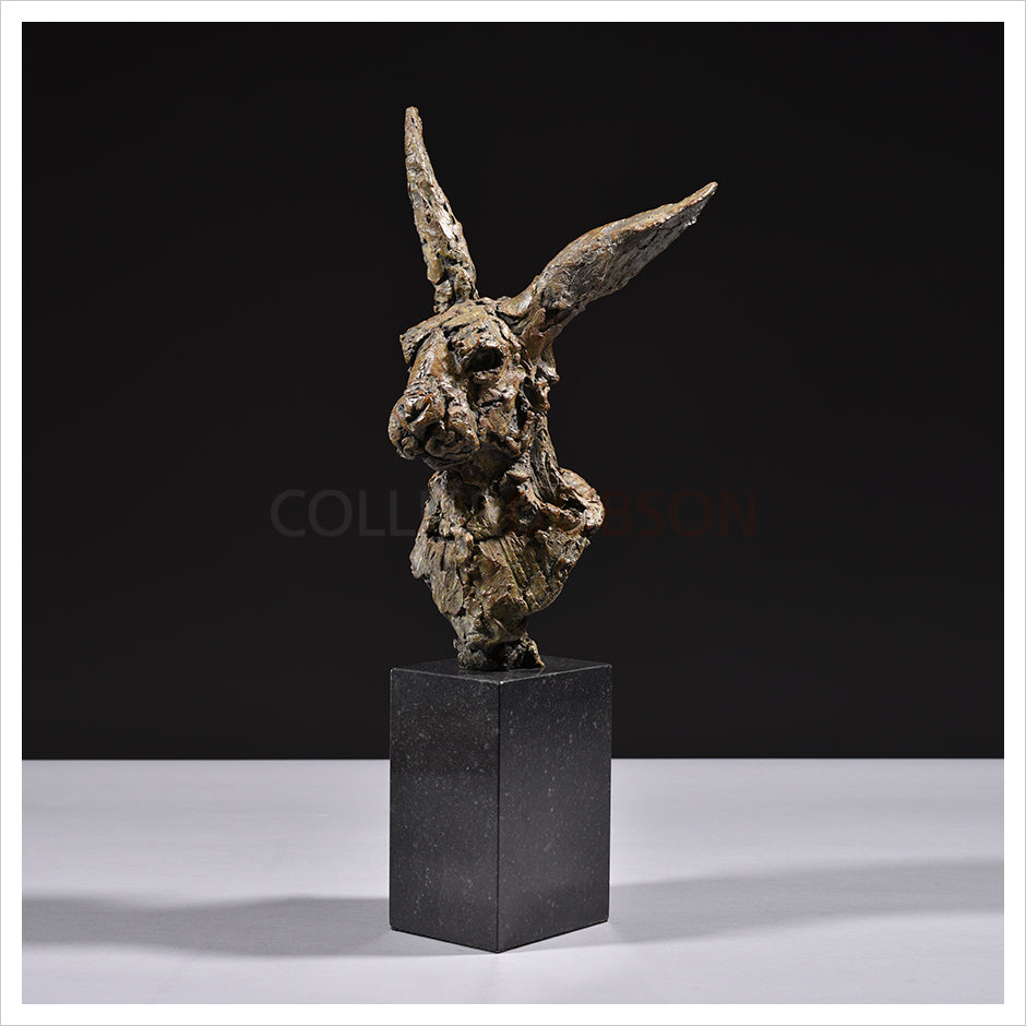 Hare Head 2022 by Hamish Mackie