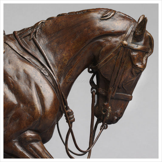 War Horse by Jenna Gearing