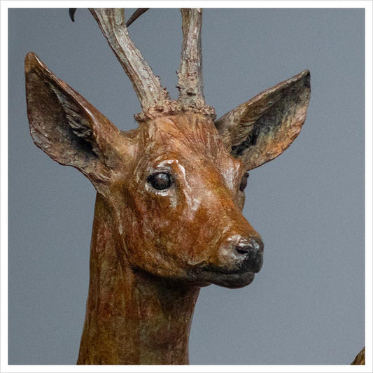 Sitting Roe Buck by Jenna Gearing