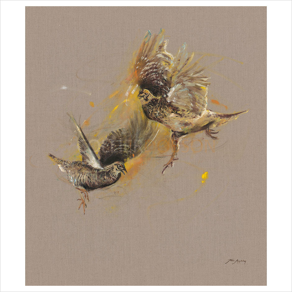Two Grouse by Josie Appleby