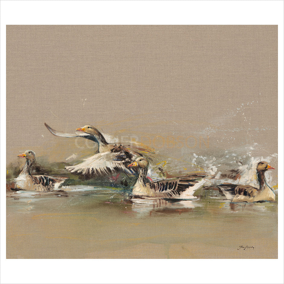 Greylag Geese by Josie Appleby