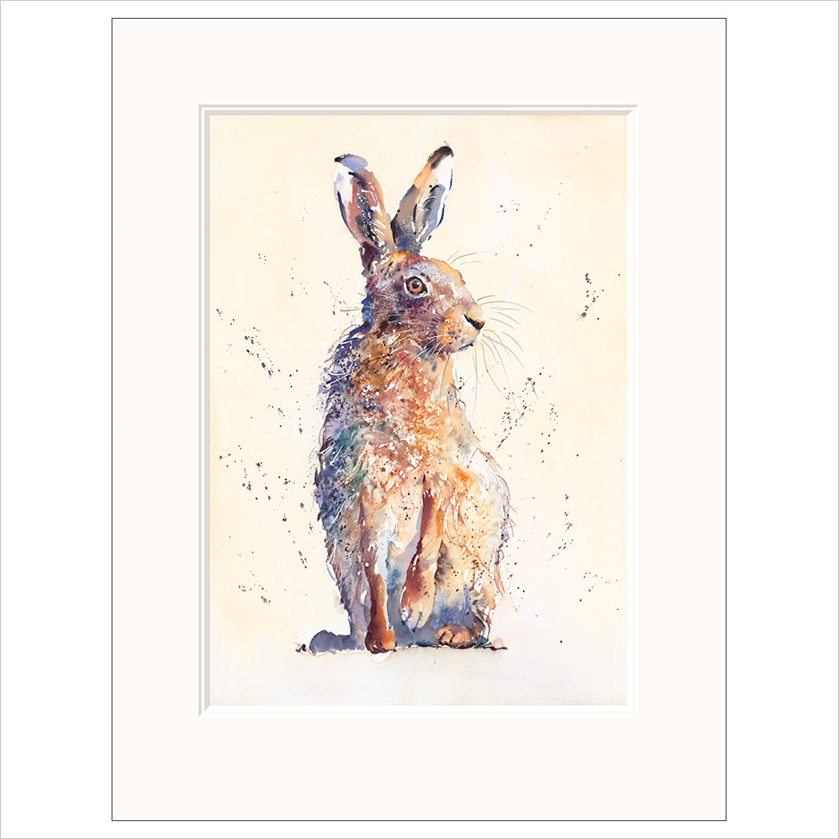 Waiting Hare by Jake Winkle