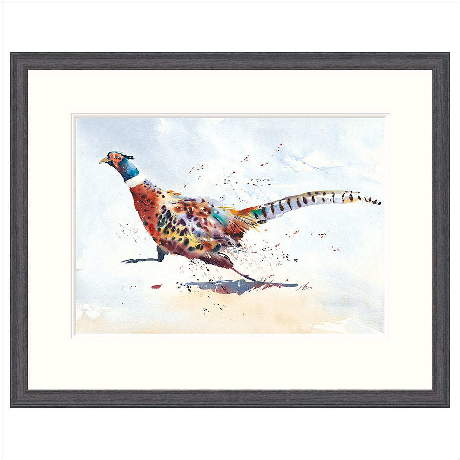 The Road Runner by jake Winkle