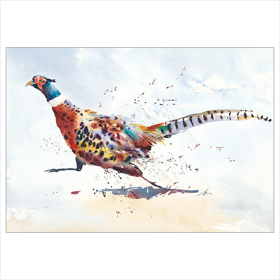 The Road Runner by Jake Winkle