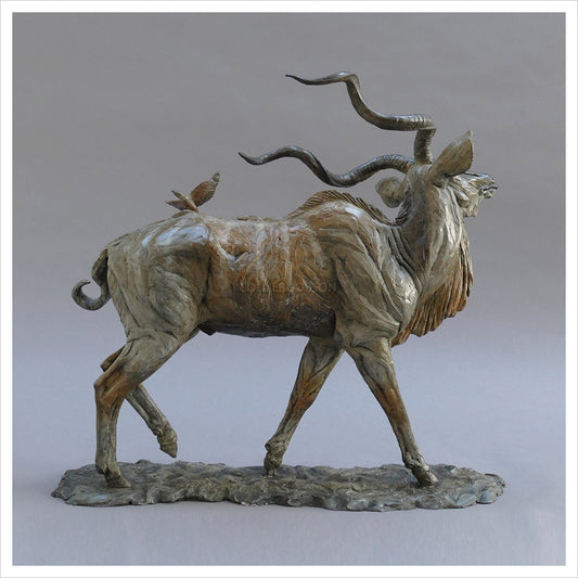 Kudu by William Montgomery