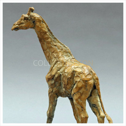 Giraffe by William Montgomery