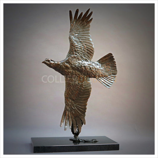 Single Grouse in Flight by William Montgomery