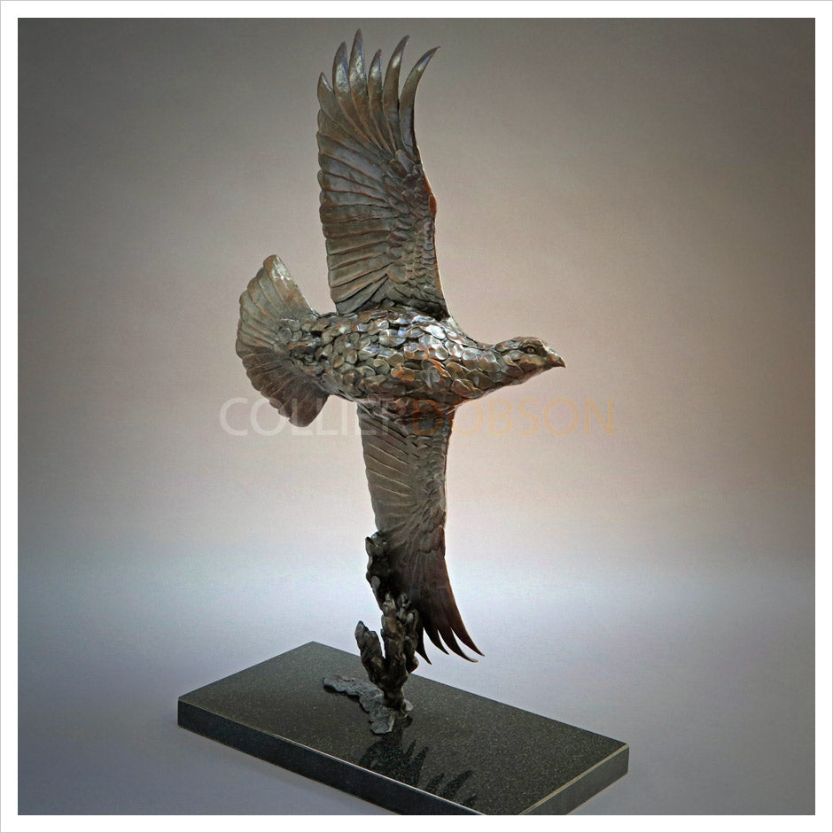 Single Grouse in Flight by William Montgomery