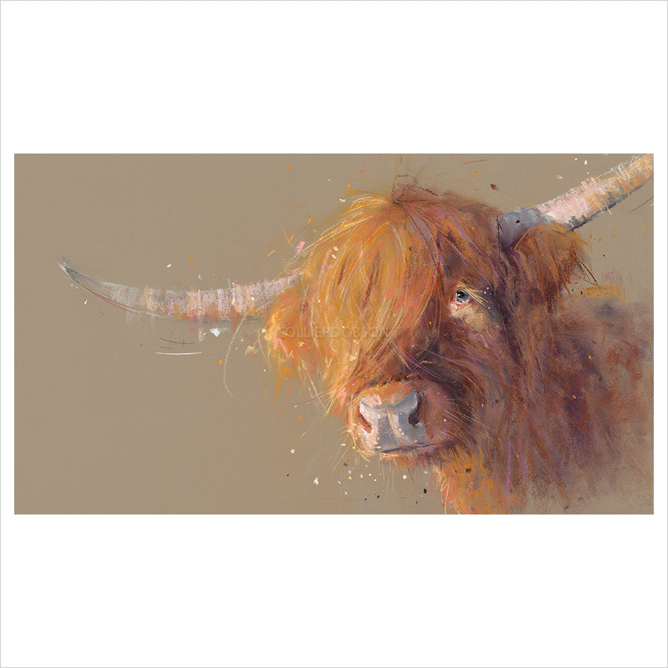 Big Softy by Nicky Litchfield