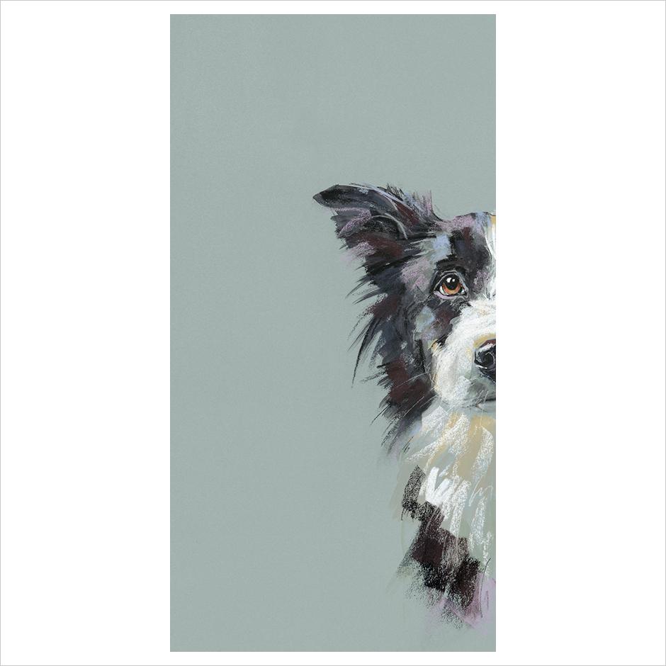 Curious Collie by Nicky Litchfield