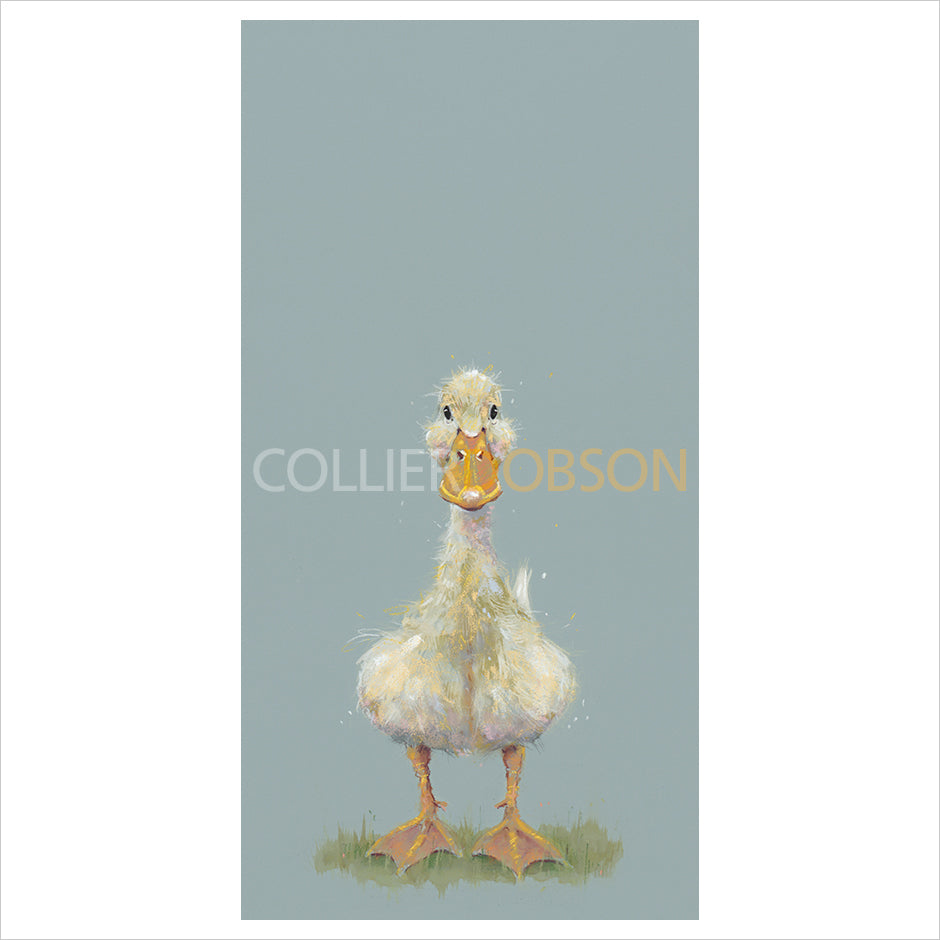 Quackers by Nicky Litchfield