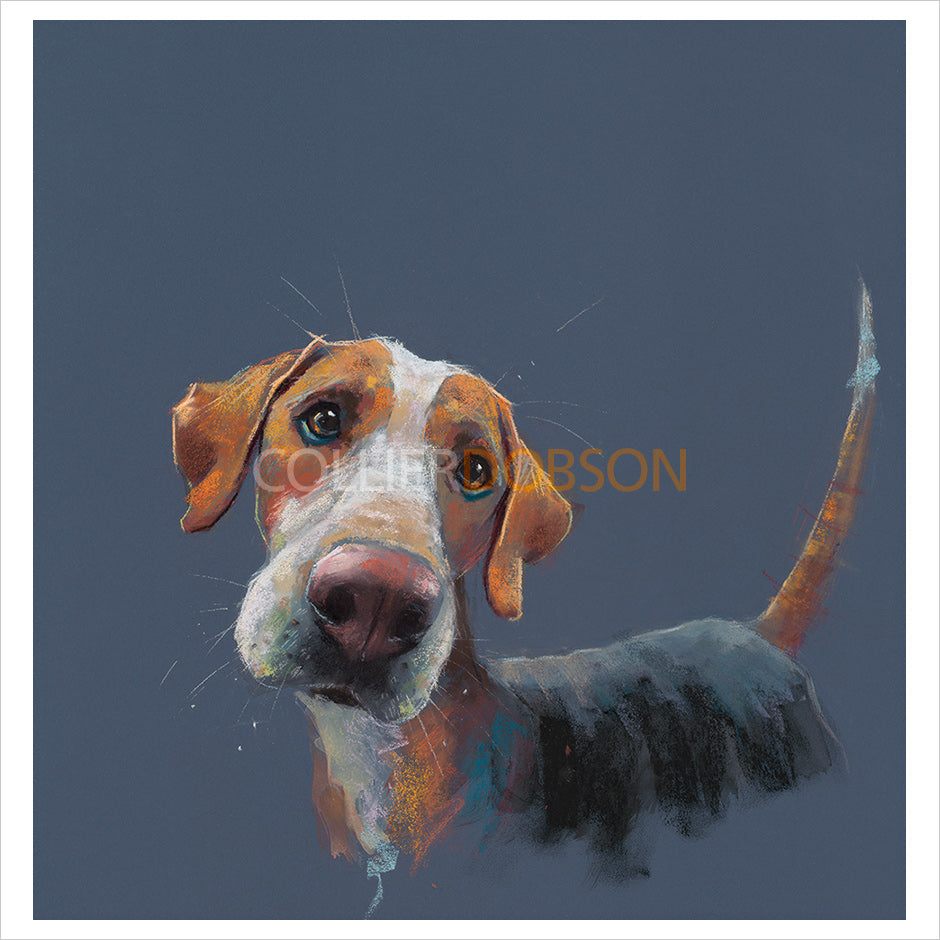 Hound Dog by Nicky Litchfield