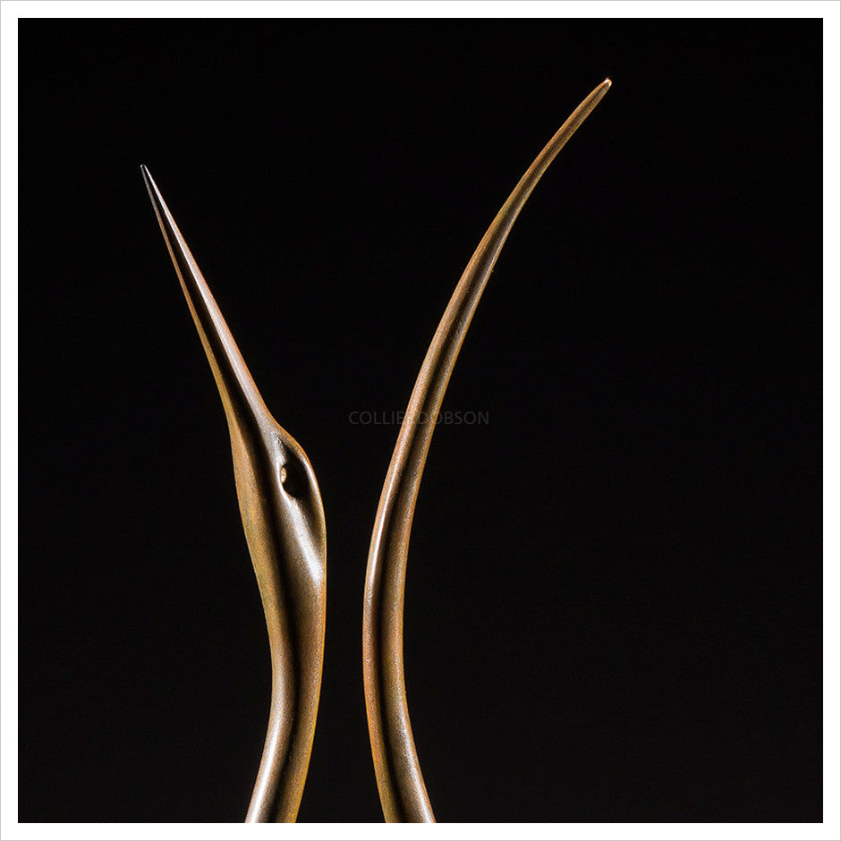 Lyrebird by Simon Gudgeon