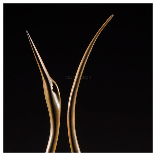 Lyrebird by Simon Gudgeon