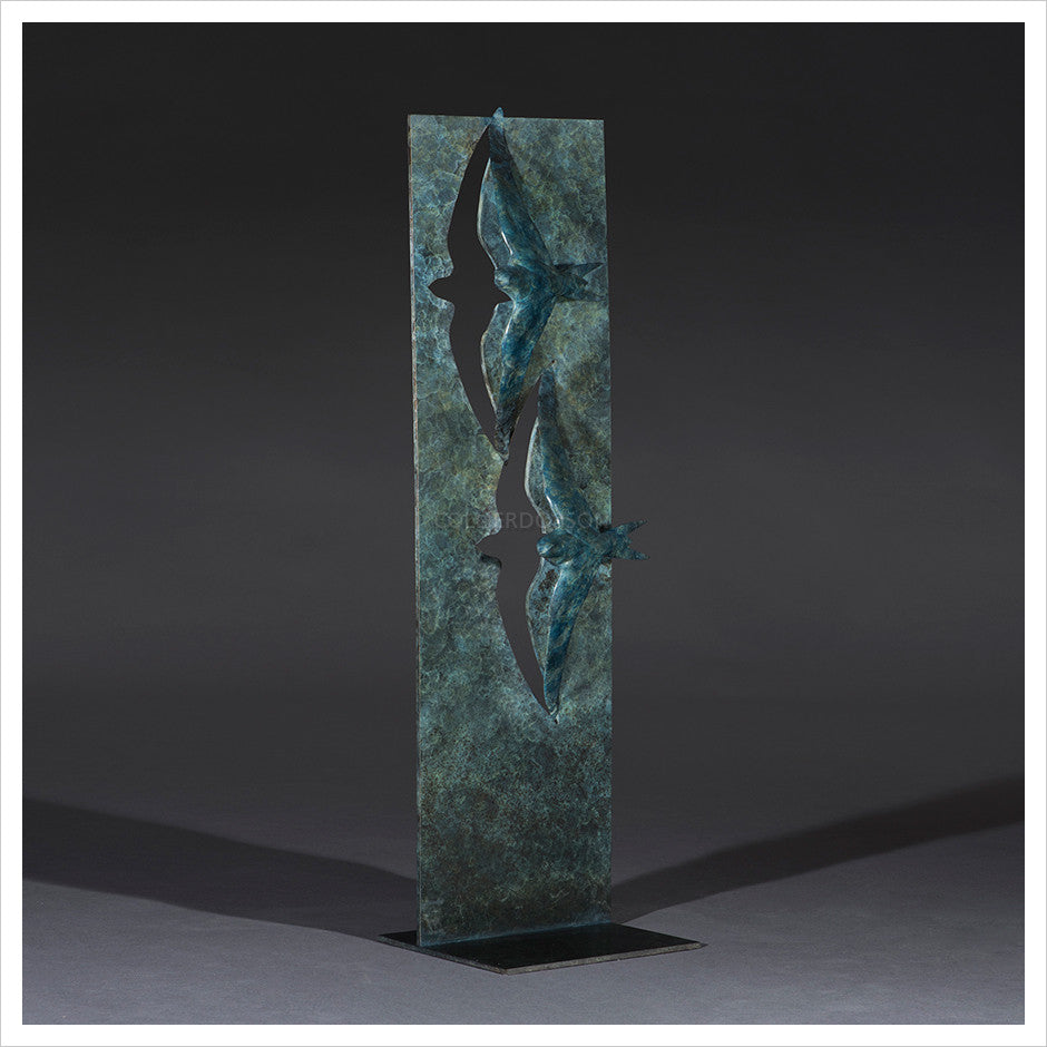 Swifts by Simon Gudgeon