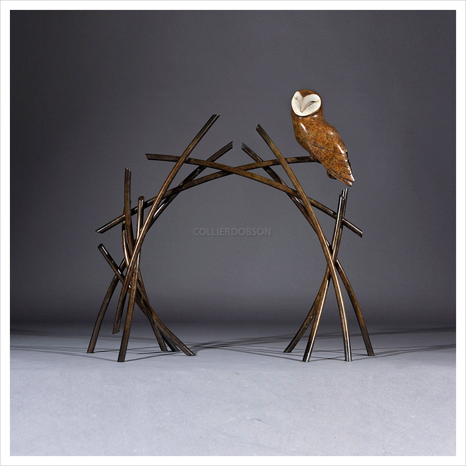 Barn Owl on Branches by Simon Gudgeon