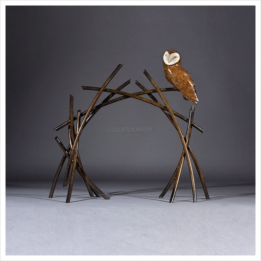 Barn Owl on Branches by Simon Gudgeon