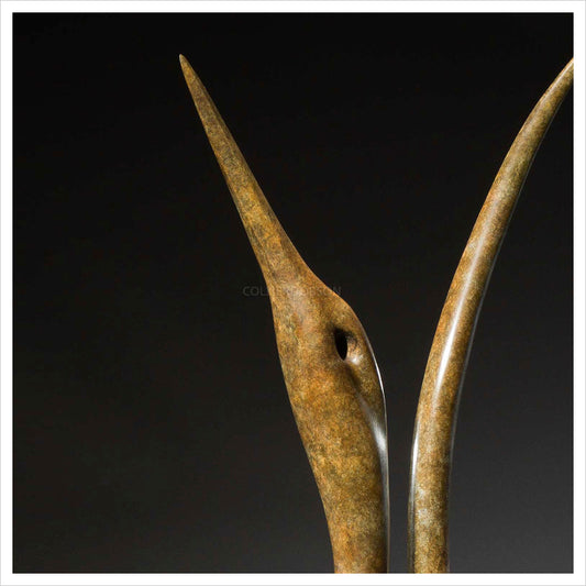 Monumental Lyrebird by Simon Gudgeon