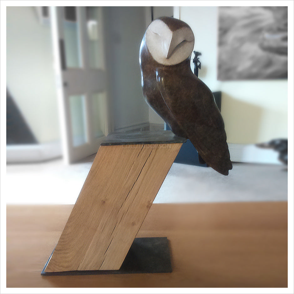 Barn Owl on Oak Base by Simon Gudgeon