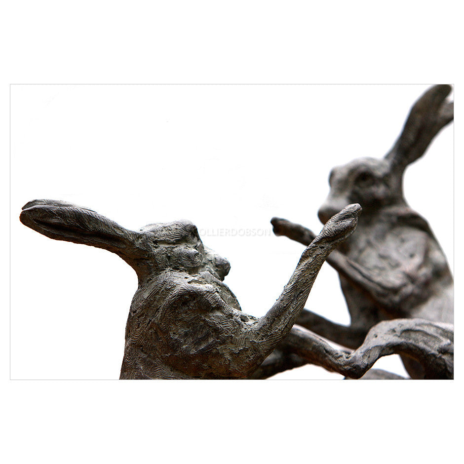 Hares by Sophie Louise White