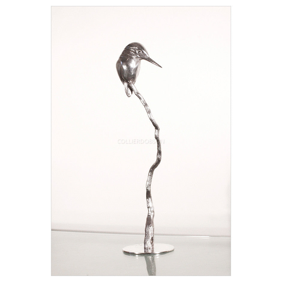 Kingfisher - Silver by Sophie Louise White