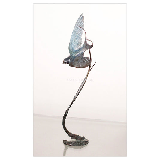 Swallow by Sophie Louise White