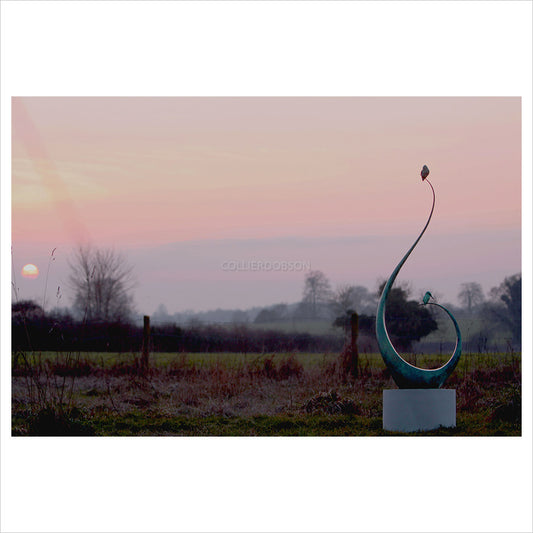 Halcyon Days, Large Kingfisher by Sophie Louise White